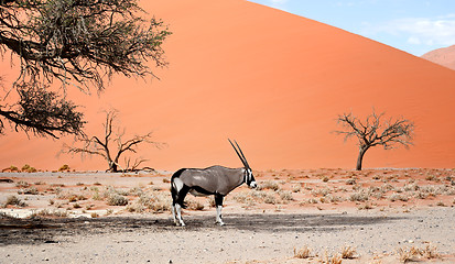 Image showing desert landscape