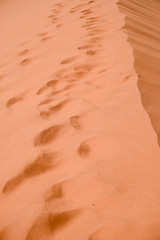 Image showing sand dune