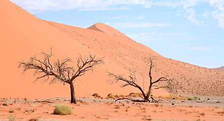 Image showing desert landscape