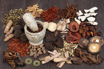 Image showing Traditional Chinese Herbal Medicine