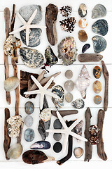 Image showing Seaside Treasure Collage