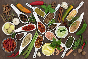 Image showing Spice and Herb Seasoning