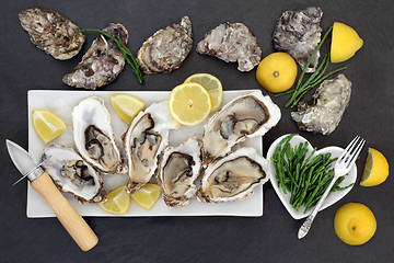 Image showing Oysters and Samphire