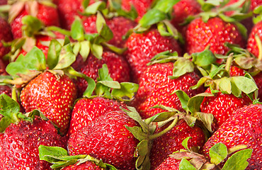 Image showing Red strawberries with green tails