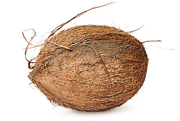 Image showing Entirely rotated coconut