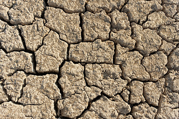 Image showing Dried soil background