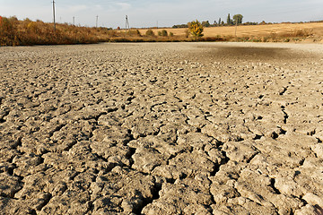 Image showing Arid and dried soil of pond bottom