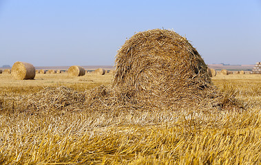 Image showing stack of straw in the field