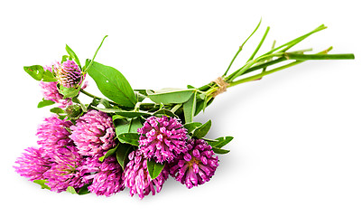 Image showing Bouquet of clover tied with rope