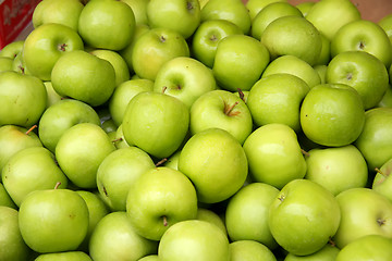 Image showing Pile of green apples