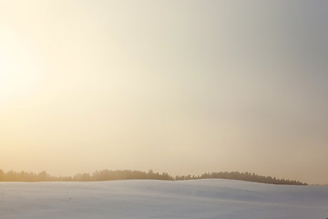 Image showing forest in winter, dawn