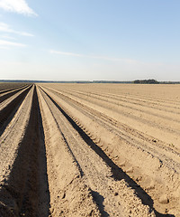 Image showing furrows in the field