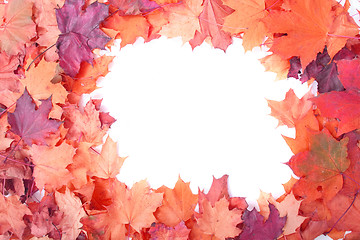 Image showing autumn color background