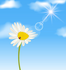 Image showing Chamomile flower and blue sky with clouds