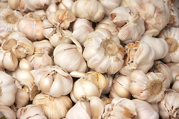 Image showing Whole garlic