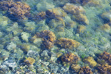 Image showing Green stone in clear sea water