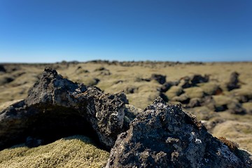 Image showing Iceland lava field covered with green moss