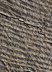 Image showing Abstract cracked wood  