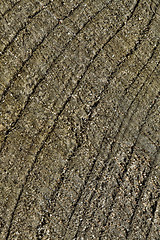 Image showing Abstract cracked wood  