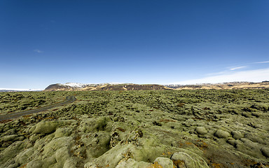 Image showing Iceland lava field covered with green moss