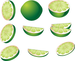 Image showing Lime illustration