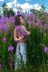 Image showing beautiful nude woman relaxing on meadow