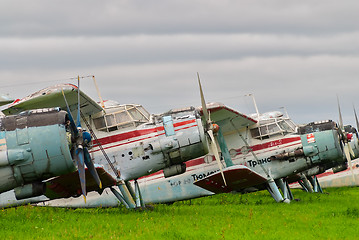 Image showing Antonov-2 airplanes on parking lot