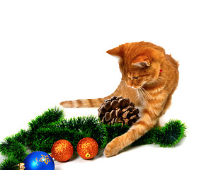 Image showing Red-headed kitten play with Christmas tinsel, Christmas-tree bal