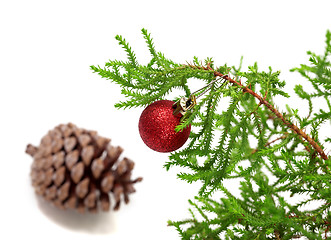 Image showing Branch of decorative home Christmas-tree with Christmas-tree bal