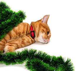 Image showing Tired red-headed kitten lying on its side in Christmas tinsel an