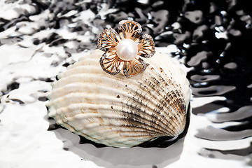 Image showing Ring And Shell