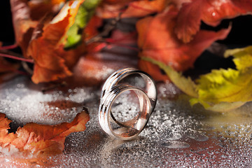 Image showing Rings And Autumn Leaves