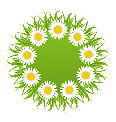 Image showing Spring freshness round card with grass and camomiles flowers