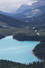 Image showing Blue mountain lake with trees