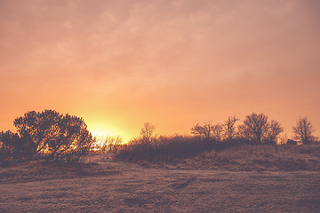 Image showing Countryside sunrise with trees