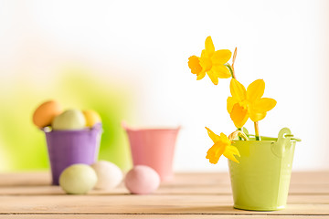 Image showing Daffodils in easter in a flowerpot