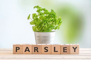 Image showing Parsley sign on a table