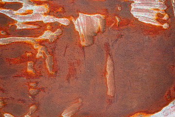 Image showing rusty old metal surface