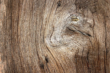 Image showing textured knot on oak wood