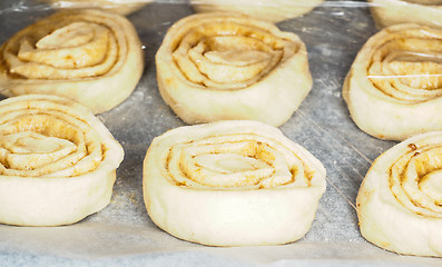 Image showing Closeup of raw cinnamon buns on baking paper under plastic, for 