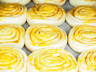 Image showing Closeup of raw cinnamon buns after proofing with egg yolk, on ba