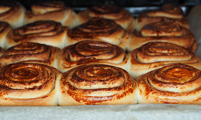 Image showing Closeup of fresh baked cinnamon buns after baking in oven, with 