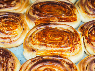 Image showing Closeup of fresh baked cinnamon buns after baking in oven, with 