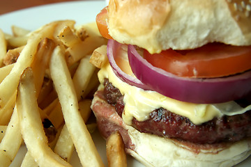 Image showing Fancy cheeseburger