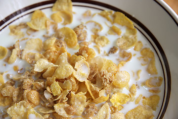 Image showing Corn flakes in milk