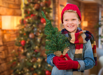 Image showing Boy Wearing Scarf In Christmas Decorated Room Holding Small Tree