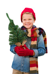 Image showing Boy Wearing Mittens and Scarf Holding Christmas Tree On White