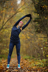 Image showing Girl at gym in forest