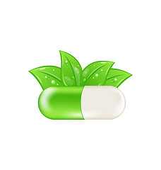 Image showing Pills and Herbs Isolated 