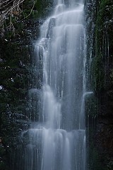 Image showing Waterfall in the forest